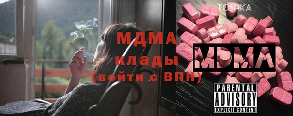 дмт Бородино