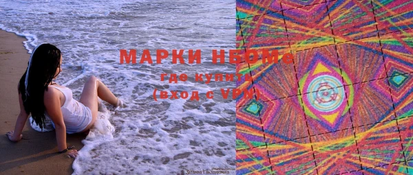 дмт Бородино