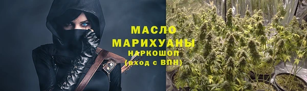 дмт Бородино
