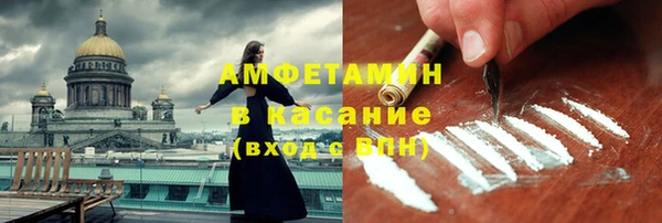 дживик Бронницы