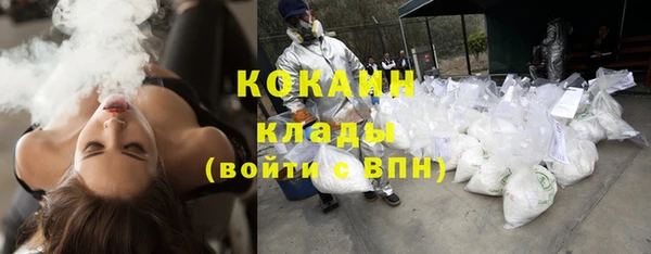 шишки Бугульма