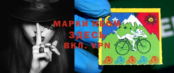 дмт Бородино