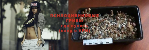 дмт Бородино