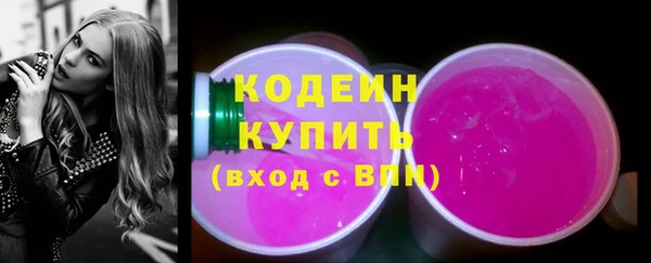 дмт Бородино