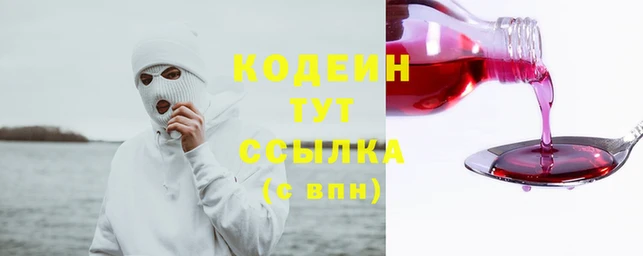дживик Бронницы