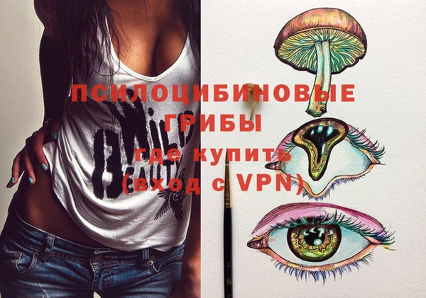 дживик Бронницы