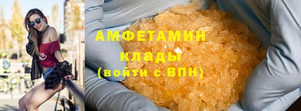 дмт Бородино