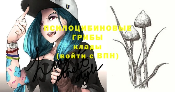 шишки Бугульма